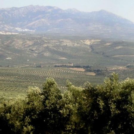 Cortijo El Derramadero Villa Villacarrillo Eksteriør billede
