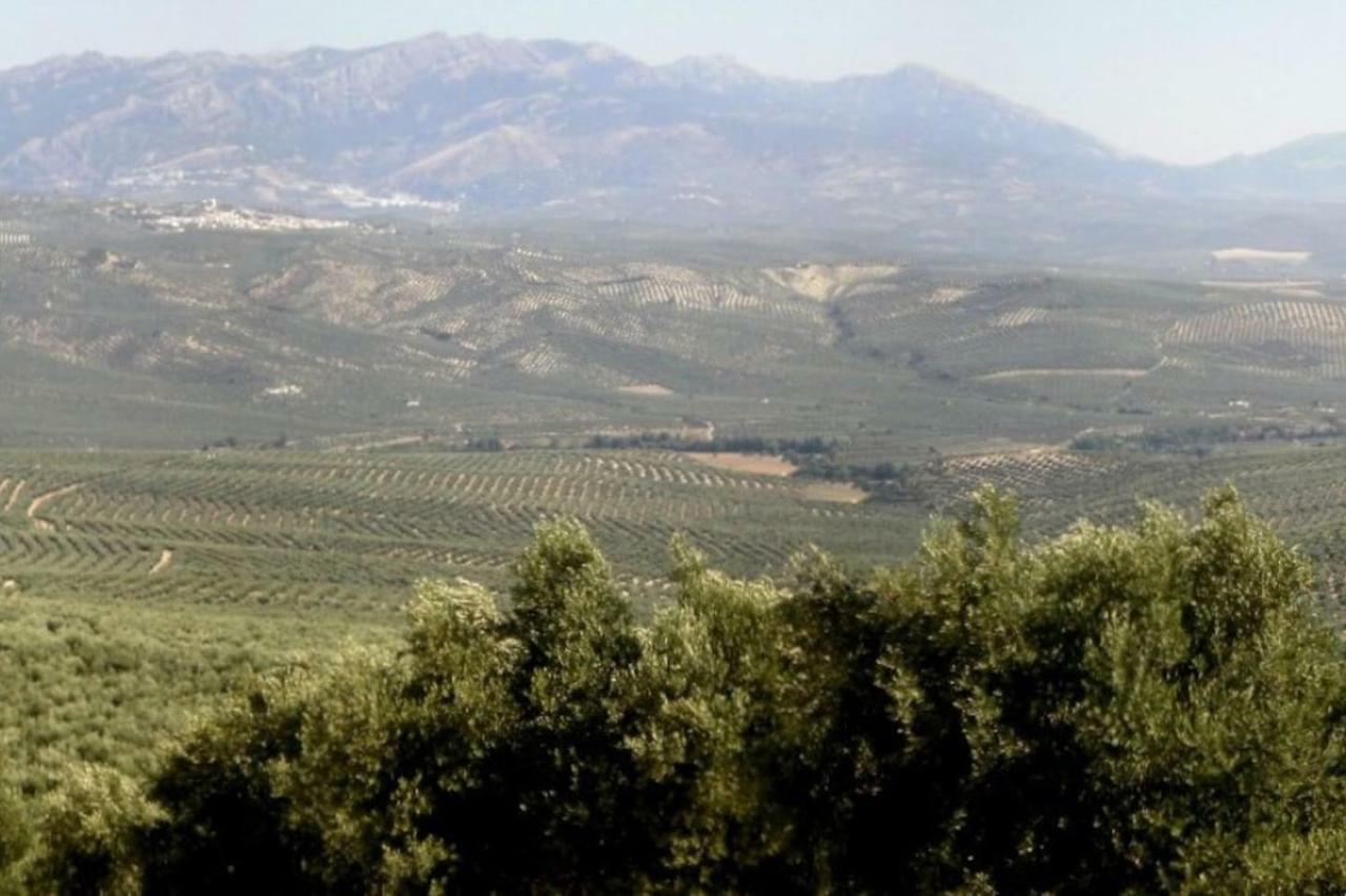 Cortijo El Derramadero Villa Villacarrillo Eksteriør billede